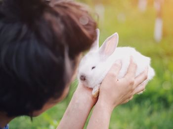 Close-up of woman holding rabbit