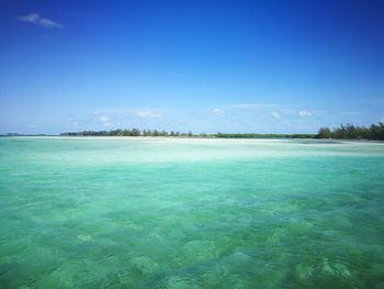 Scenic view of calm sea