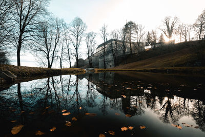 Reflection of trees in lake against sky