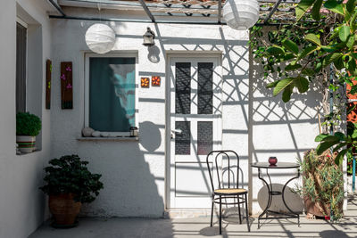 Potted plant by window