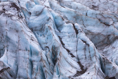 Fox glacier in new zealand