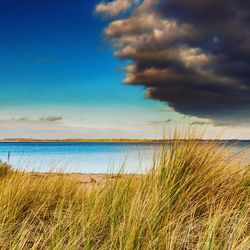 Scenic view of beach against sky