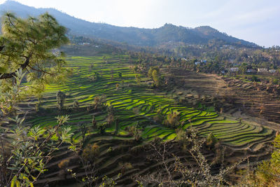 High angle view of townscape against sky