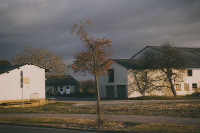 House by bare tree against sky