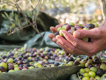 Close-up of hand holding grapes