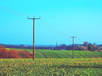 Scenic view of field against clear sky