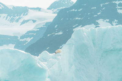 Aerial view of frozen sea