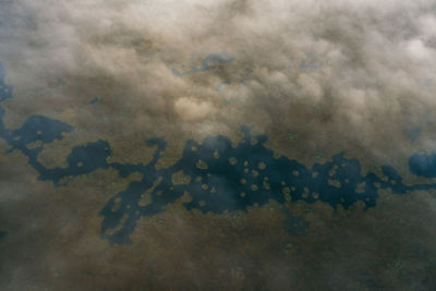 The largest raised bog in belarus. autumn landscape.