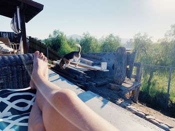 Low section of man relaxing by plants against sky