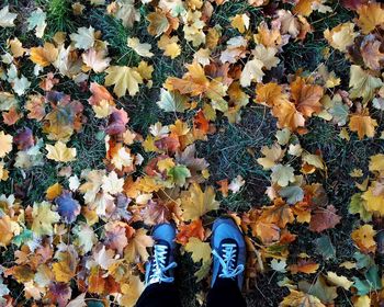 Low section of person with autumn leaves