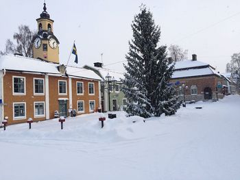 Snow covered trees in winter