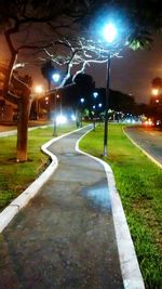 Empty road in park at night