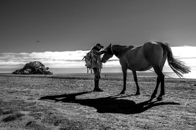 Horse standing on a land