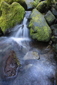 Stream flowing through rocks