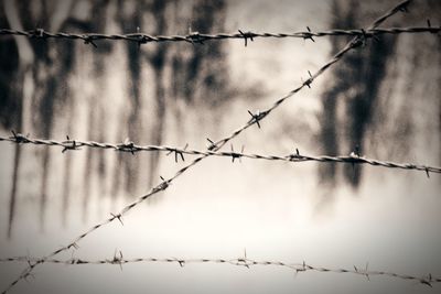 Close-up of barbed wire fence