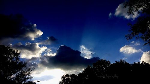 Low angle view of silhouette trees against sky at night