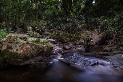 Stream flowing through rocks in forest