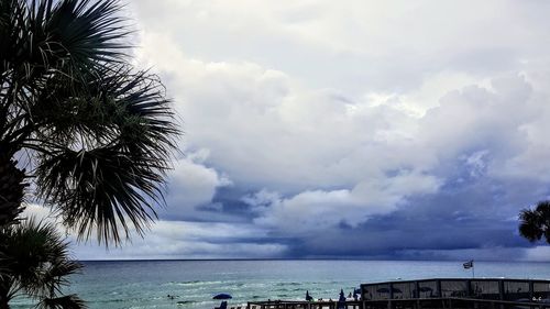 Low angle view of palm tree by sea against sky