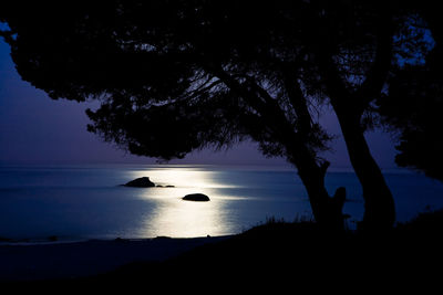 Silhouette tree by sea against sky during sunset