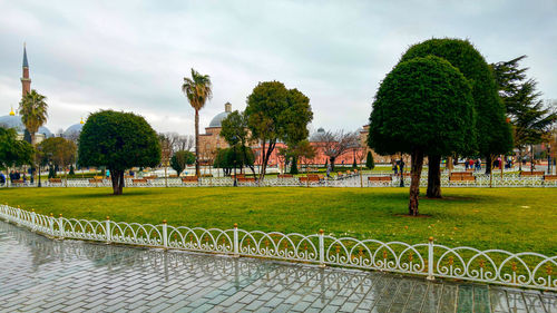 Trees in park against sky