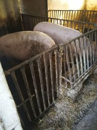 High angle view of bread in metal container