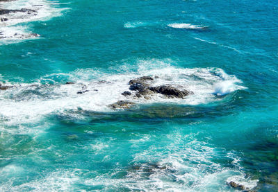 View of whale swimming in sea