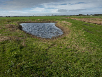 Scenic view of field against sky