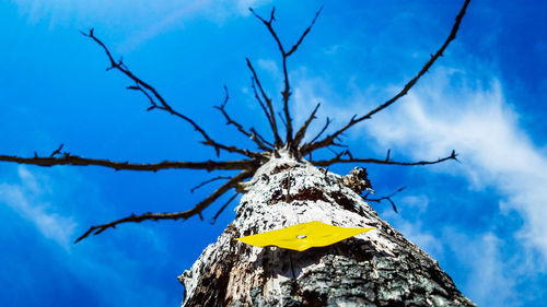 Low angle view of dead tree against blue sky