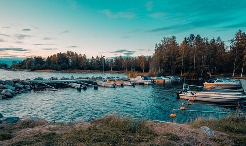 Sailboats moored on shore against sky