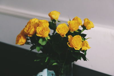 Close-up of yellow flowers