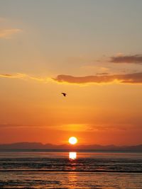 Scenic view of sea against orange sky