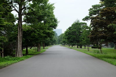 Road amidst trees against sky