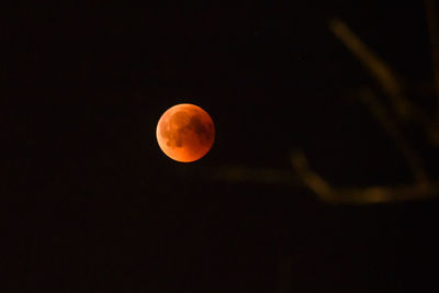 View of moon at night