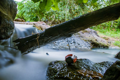 High angle view of rocks by river in forest