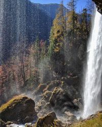 Waterfall in forest