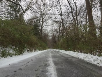 Road amidst trees in forest