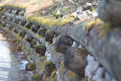 Close-up of water flowing in row