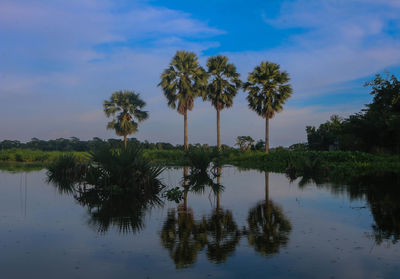 Trees by lake against sky