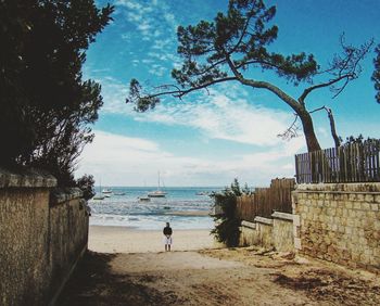 Rear view of man standing on beach against sky