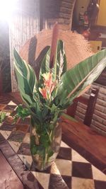 Close-up of plants on table