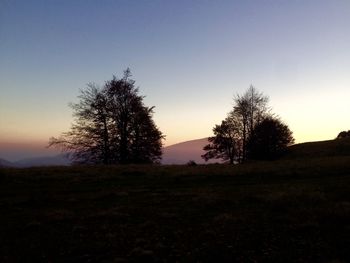 Bare trees on field against sky at sunset