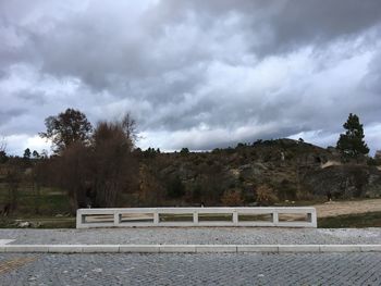 Trees on landscape against sky