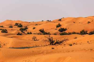 Scenic view of desert against clear sky