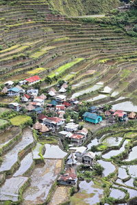 High angle view of houses and agricultural field