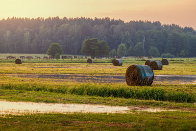 agriculture