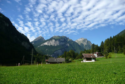 Scenic view of field and mountains against sky