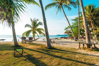 Palm trees on beach against sky