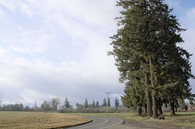 Road amidst trees against sky