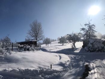 Snow covered land and trees against sky