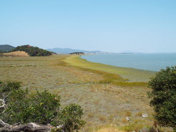 Scenic view of landscape against clear sky